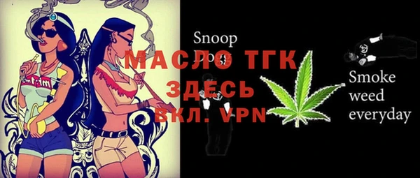 мдпв Краснослободск